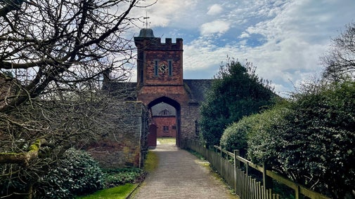 Clocktower with emerging spring plants